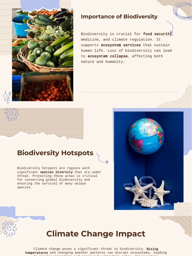 Importance of Biodiversity Conservation | PDF