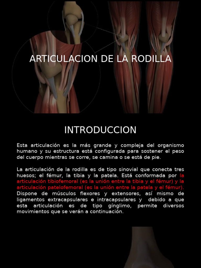 Biomecanica - Equipo Madm | PDF | Rodilla | Tejido suave