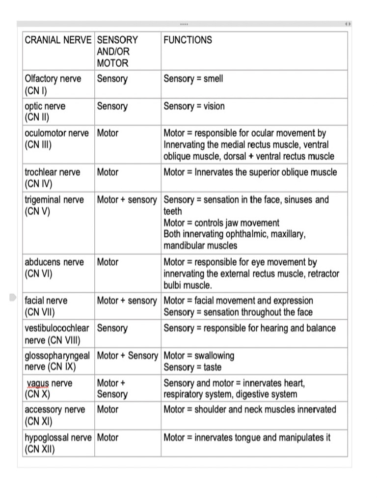 Cranial Nerve Chart PDF