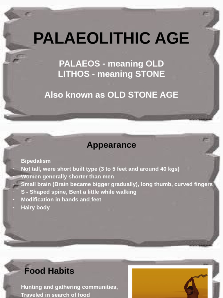 Overview of the Palaeolithic Age | PDF | Paleolithic | Bow And Arrow