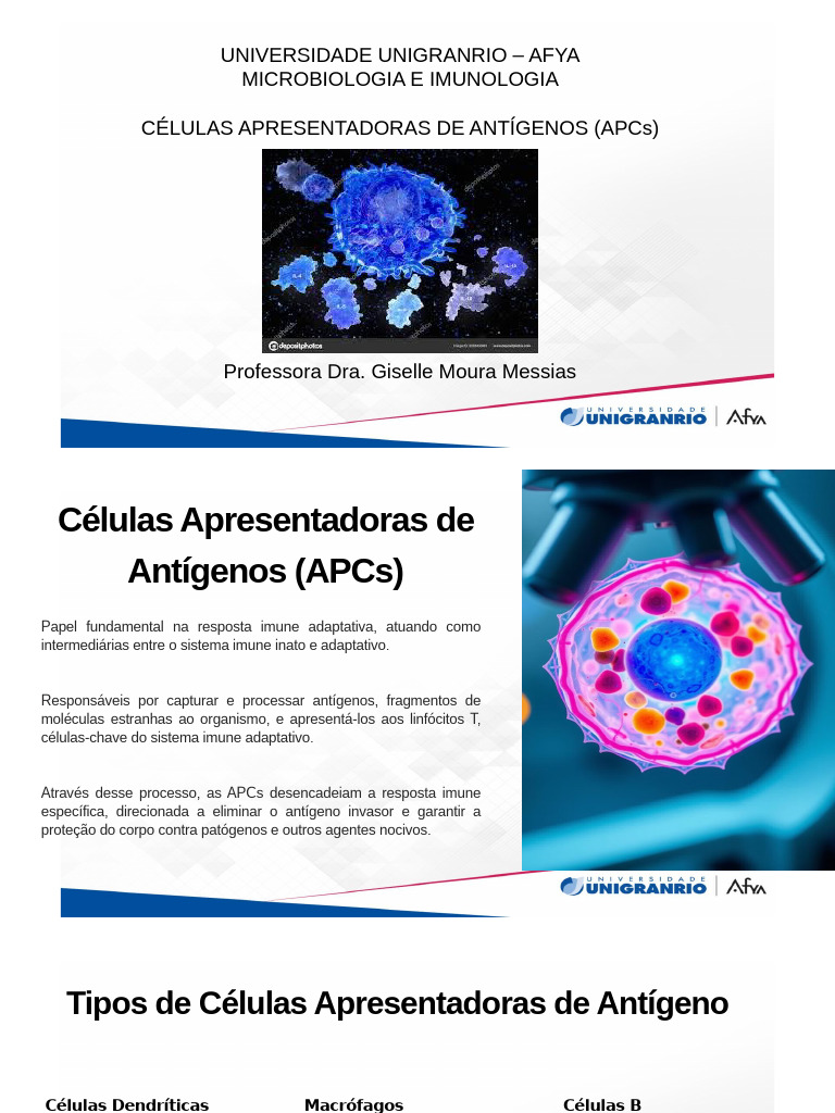 Células Apresentadoras de Antígenos | PDF | Sistema imunológico | Célula T