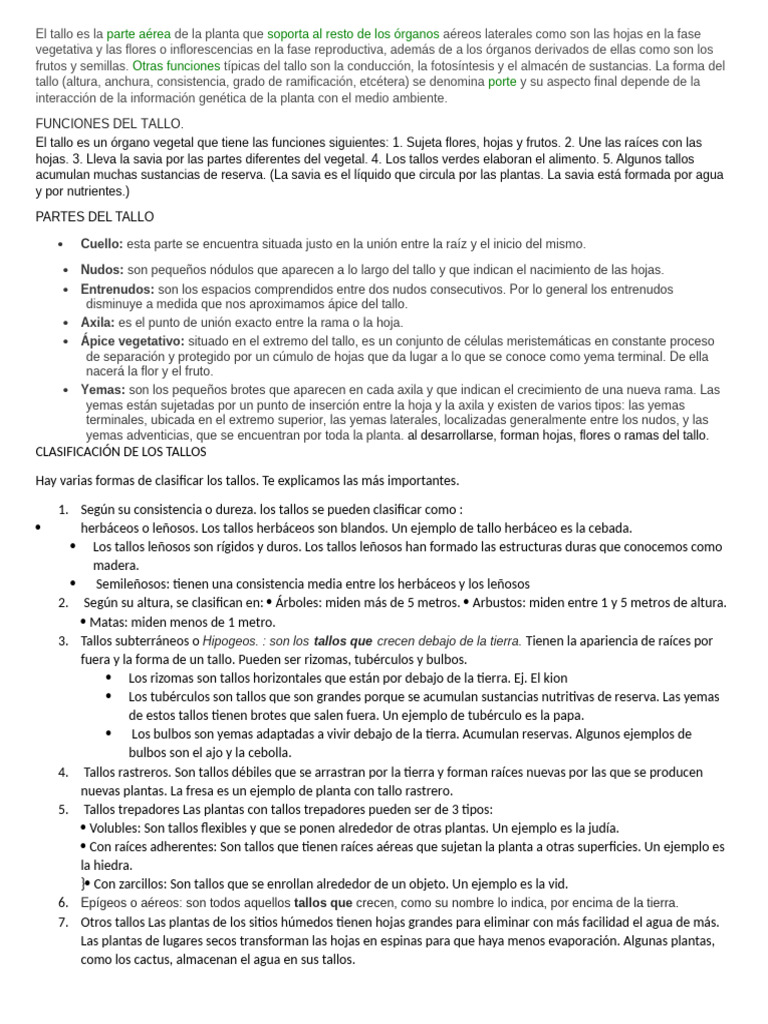 El Tallo Y SUS PARTES | PDF | Tallo de la planta | Hoja