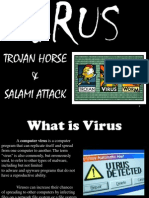 SO2 Virus (Trojan Horse & SALami Attack)