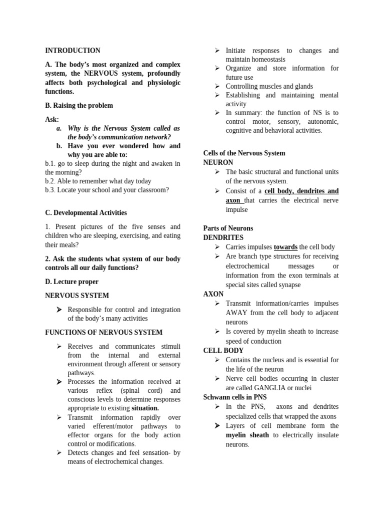 Nervous System 1 | PDF | Neuron | Neurotransmitter