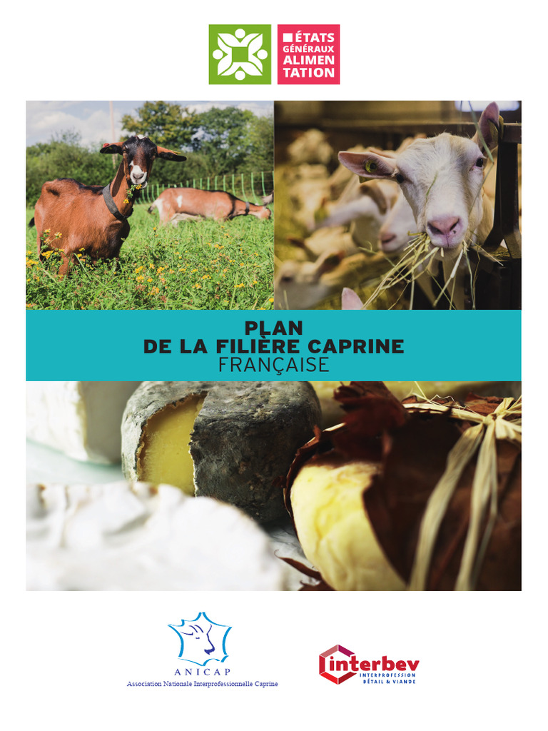 Plan de la Filière Caprine Française 2022 | PDF | Chèvre | Fromage