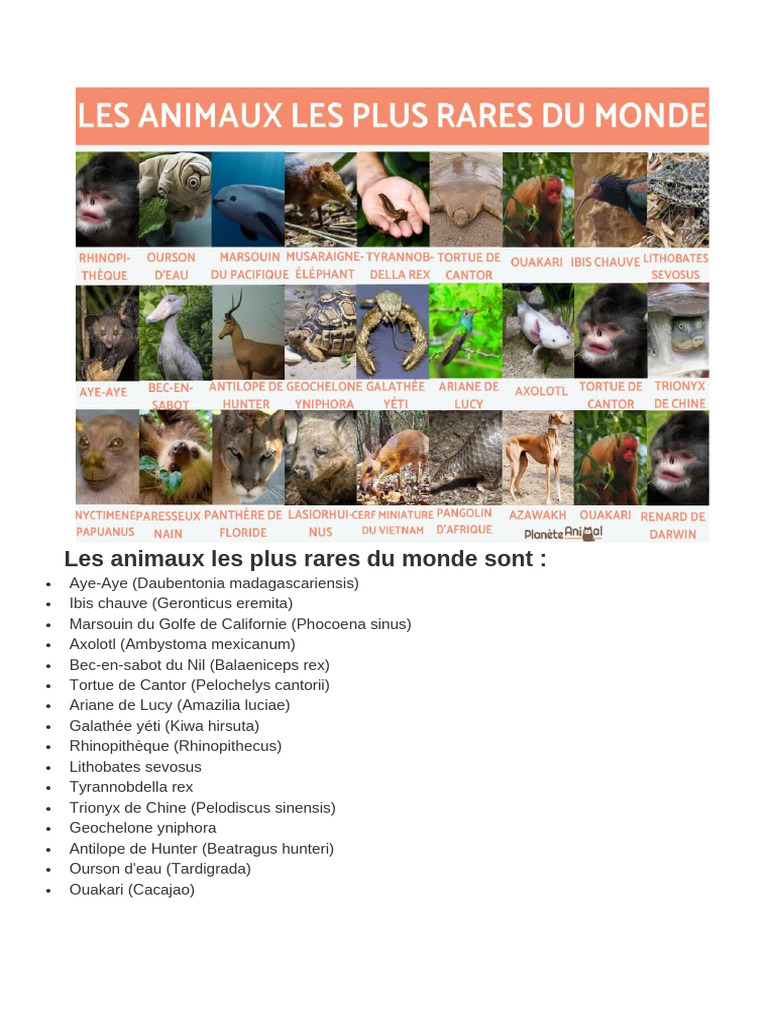 Top 15 des animaux les plus rares du monde | PDF