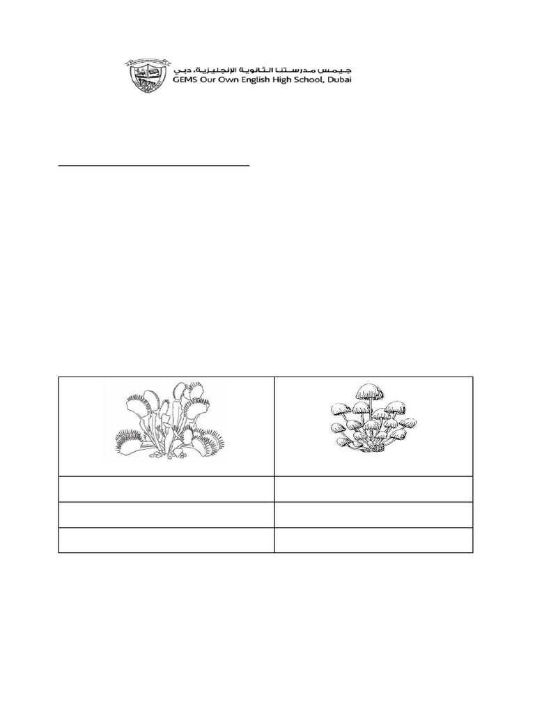 the-food-factory-of-plants-task-2-pdf