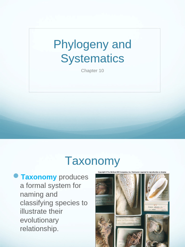 Taxonomy and Phylogeny Overview | PDF | Taxonomy (Biology) | Species
