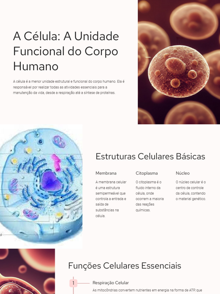 Estrutura e Função das Células Humanas | PDF | Corpo humano | Célula ...