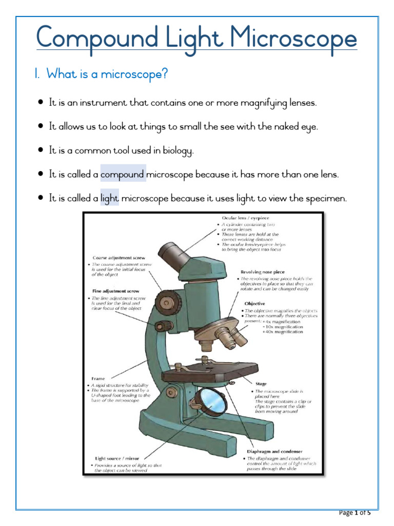 Pound Light Microscope | PDF