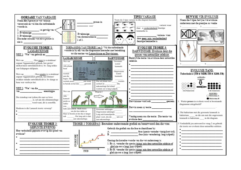 2020 Evolusie Een Blad FINAAL | PDF
