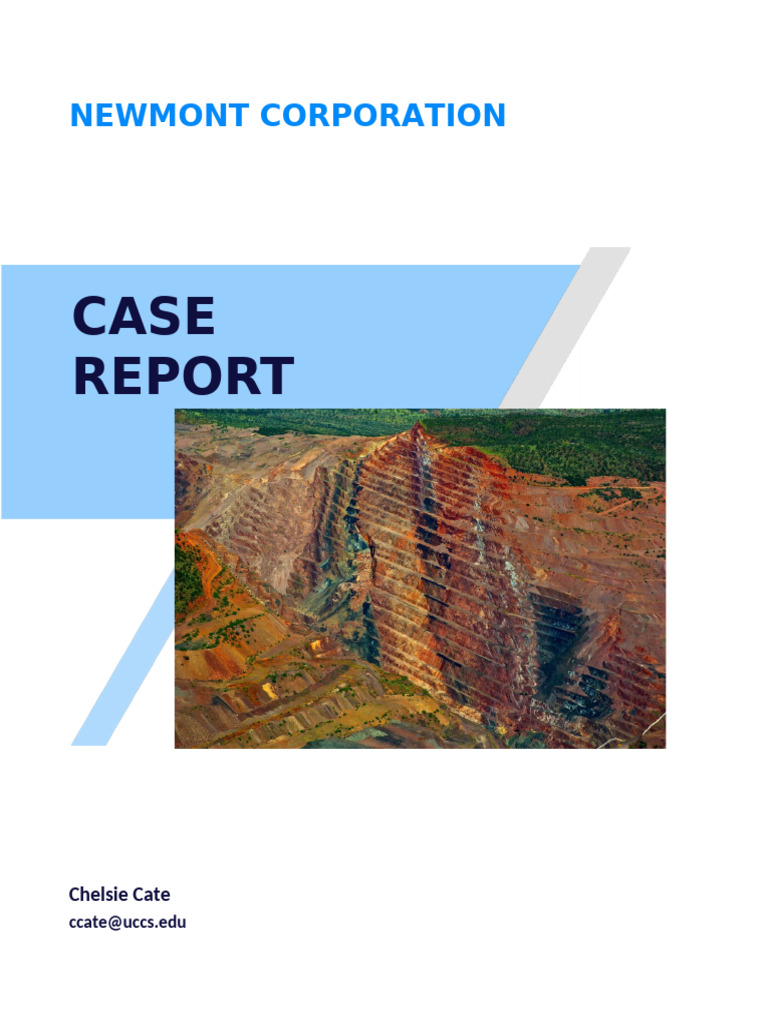 Case Report EXAMPLE | PDF | Price–Earnings Ratio | Stocks