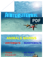 Animals Mar in Sms