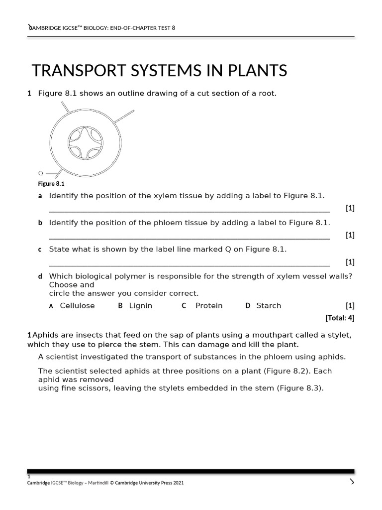 Mock Lesson Ashtel Test Biology | PDF | Tissue (Biology) | Plant Stem