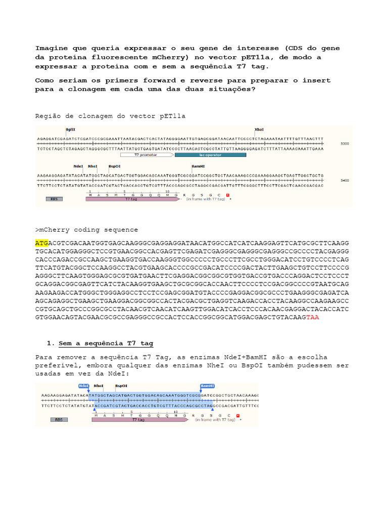 Exercício0 pET11 | PDF | Biochemistry | Biotechnology