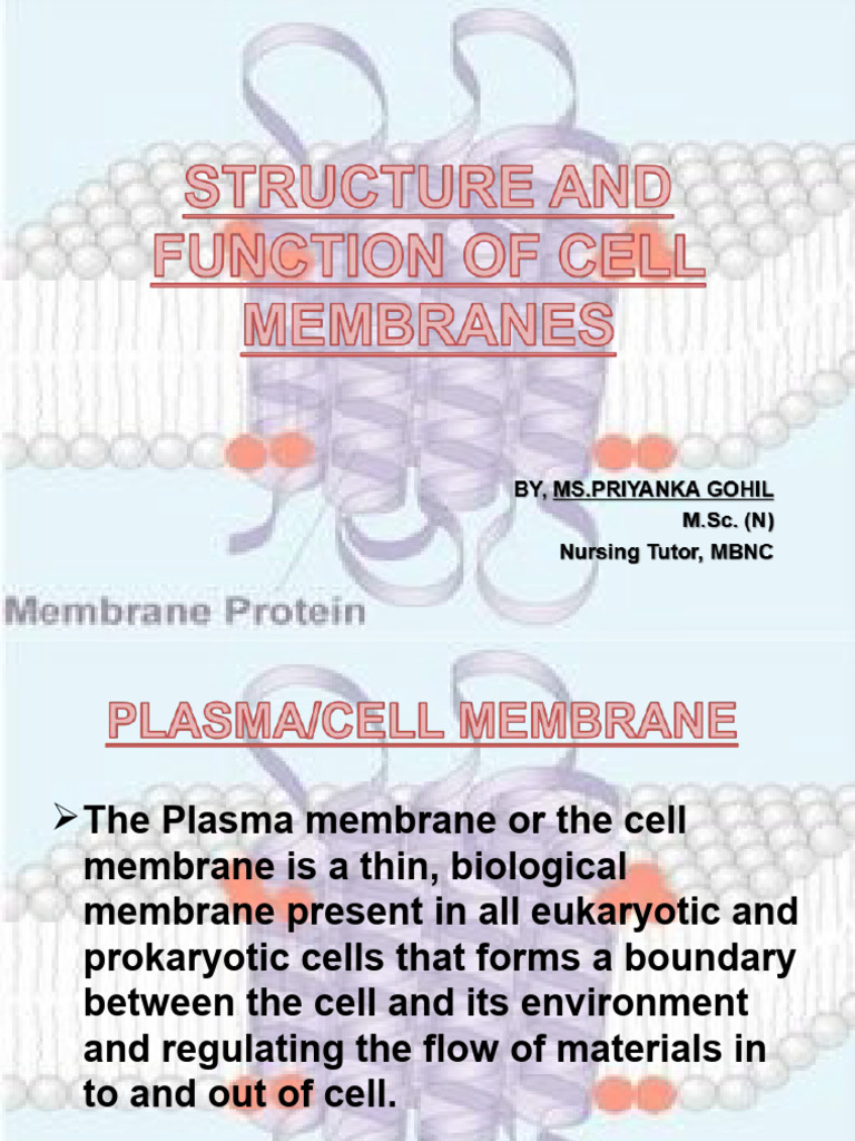 Cell Membrane 1211111420255 | PDF | Cell Membrane | Lipid Bilayer