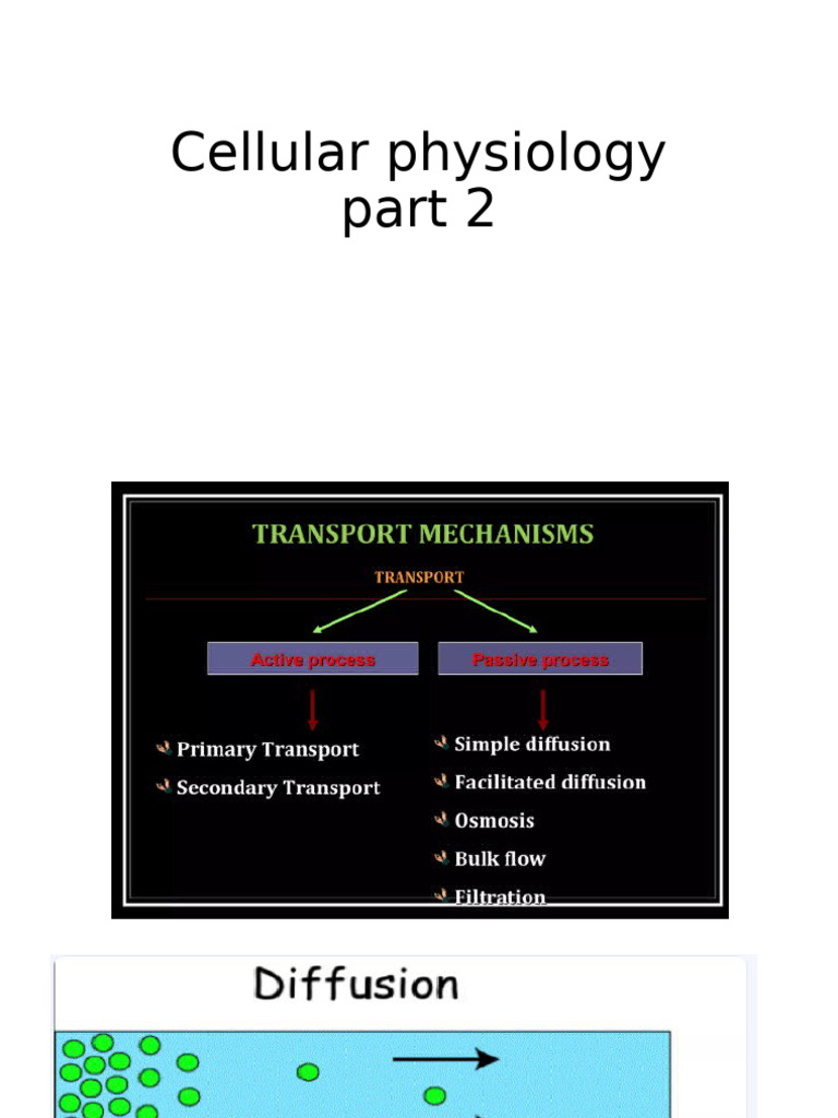 Cell Physio 2 | PDF