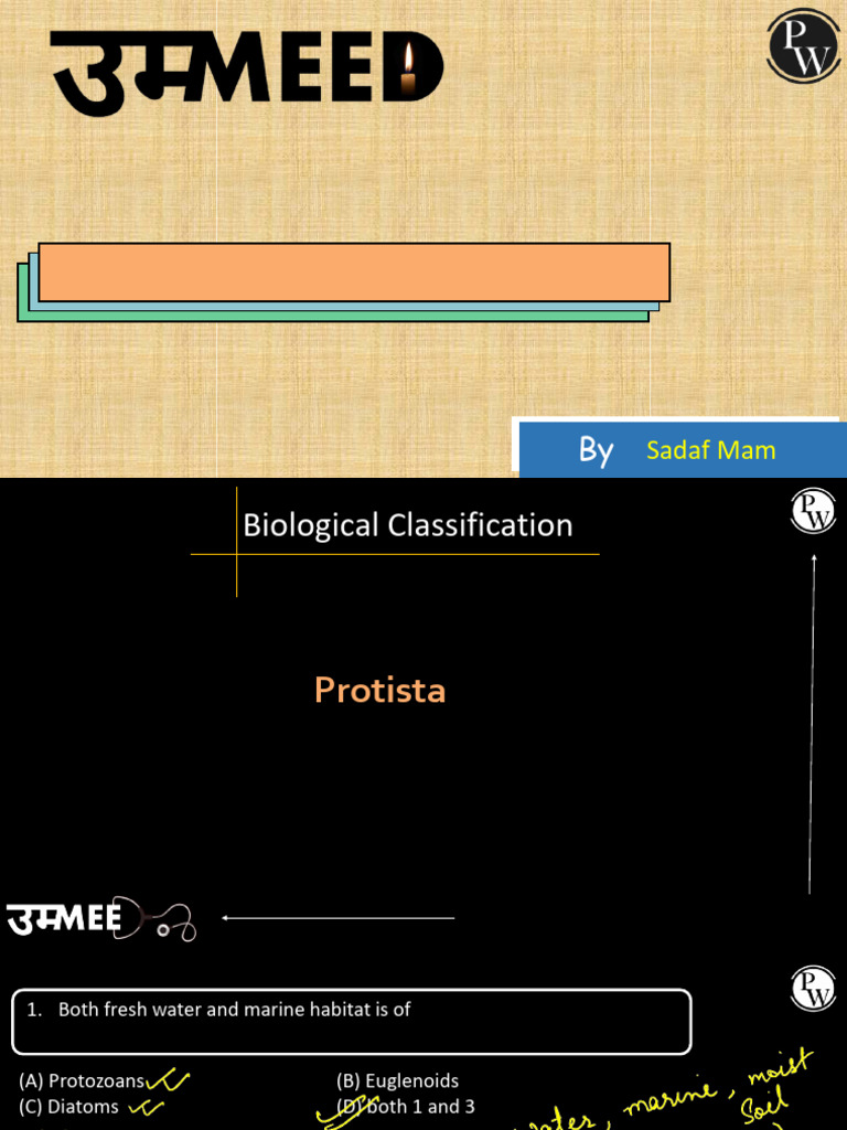 Characteristics of Dinoflagellates | PDF | Protozoa | Algae