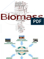 Biomass Final