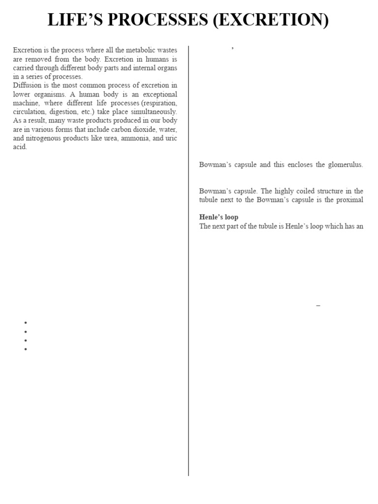 EXCRETION | PDF | Kidney | Urinary System
