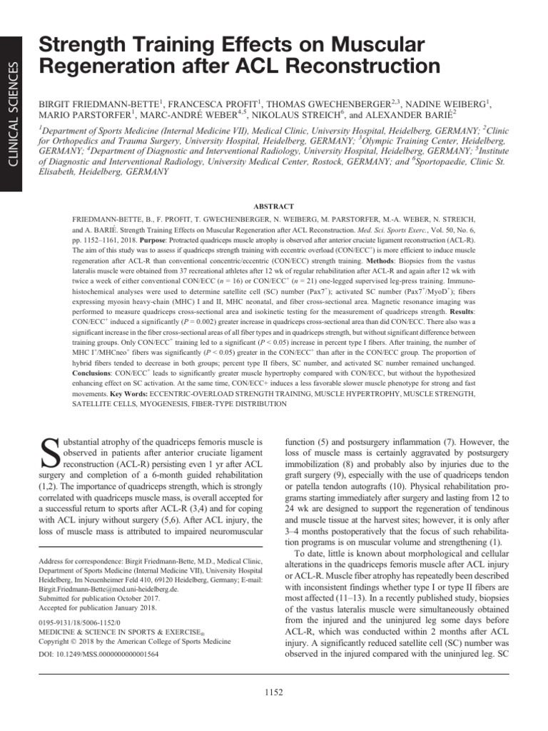 Strength Training Effects On Muscular Regeneration.4 | PDF | Skeletal ...