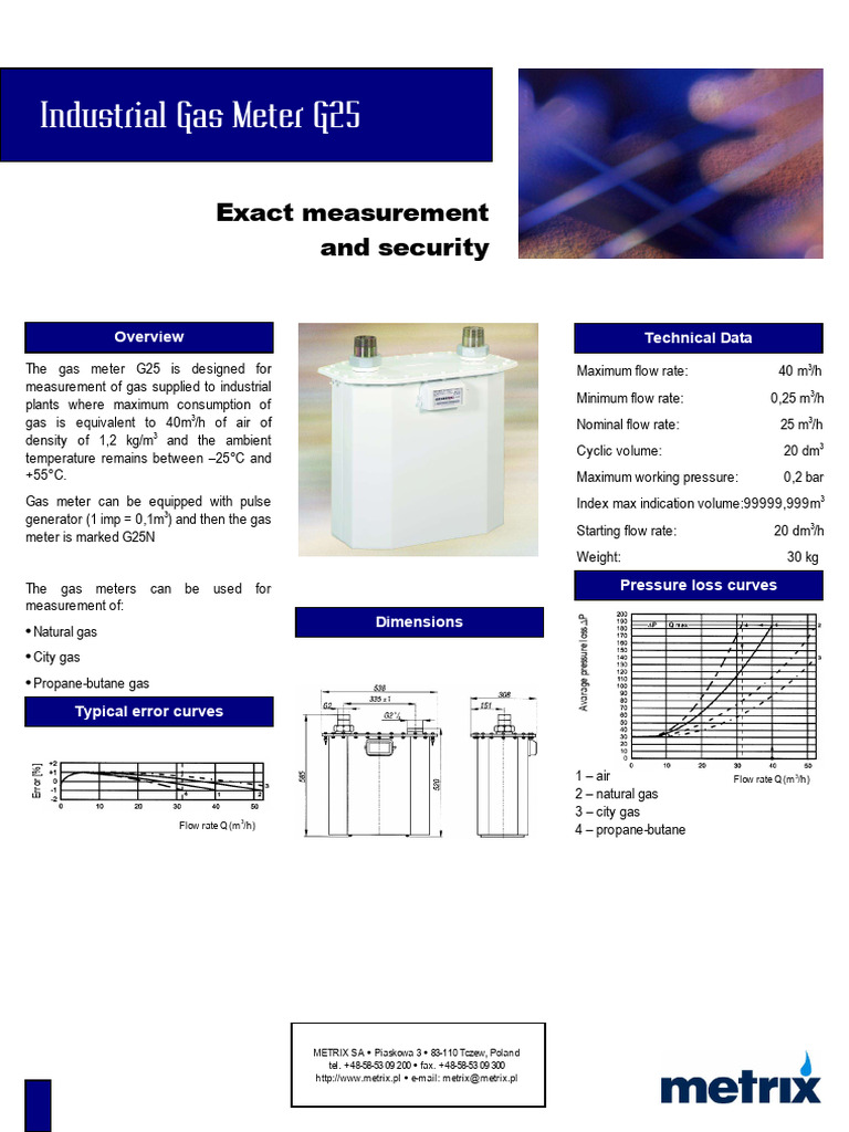 G25 Industrial Gas Meter Specifications | PDF | Flow Measurement | Gases