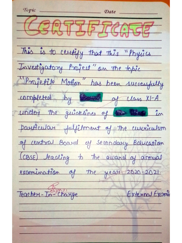 Projectile Motion Project | PDF