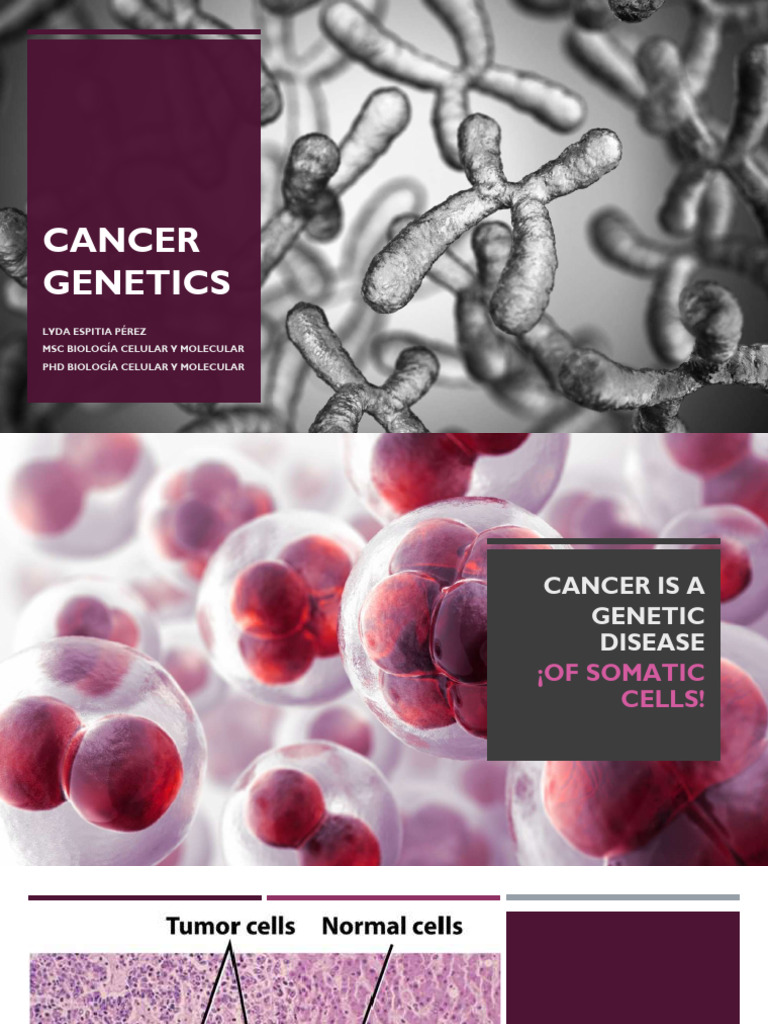 Cancer+Genetics+2023 2 Compressed | PDF | Cancer | Colorectal Cancer