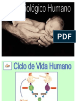 Ciclo Biologico Humano