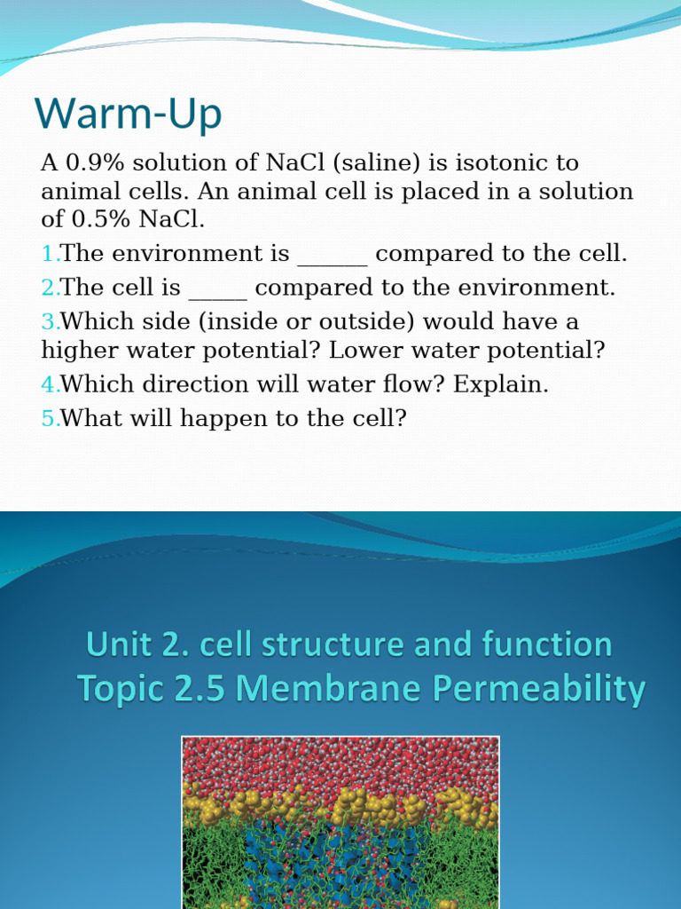 Understanding Cell Membrane Permeability | PDF
