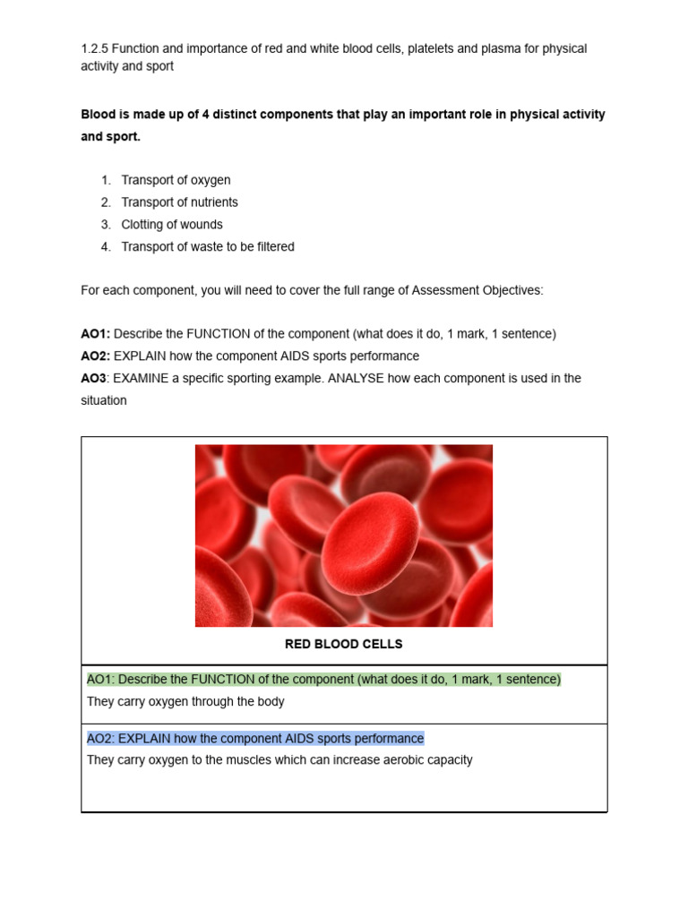 Blood Components in Sports Performance | PDF | Blood | Blood Cell