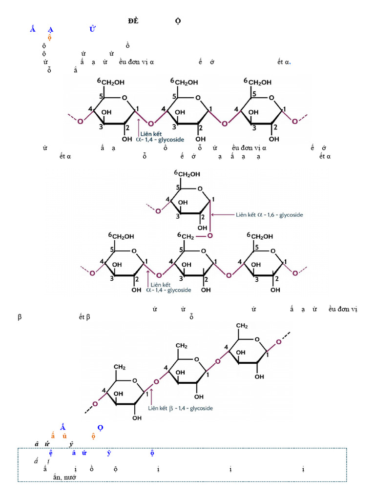 Đề 3 - Tinh Bột Và Cellulose CK | PDF
