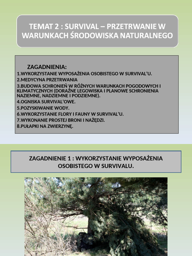 T 2 Survival | PDF