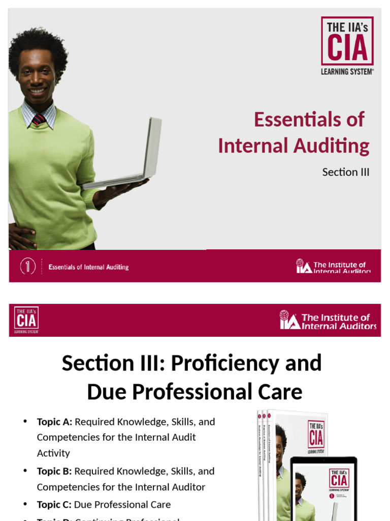 Internal Audit Skills and Competencies Guide | PDF | Internal Audit | Audit