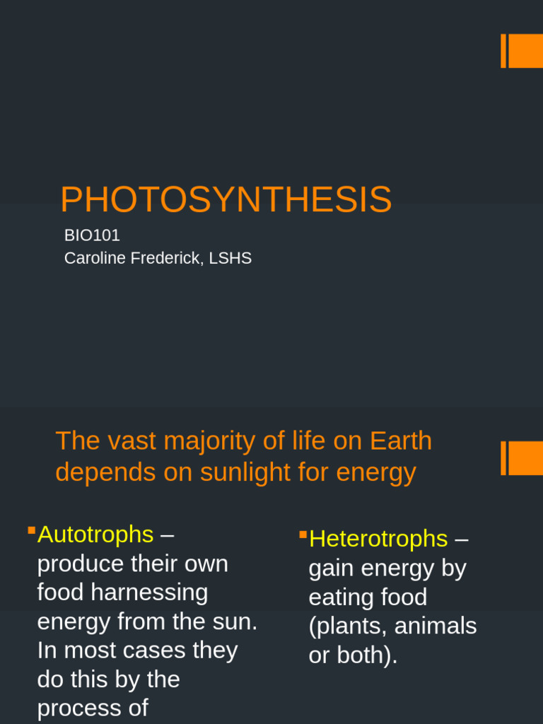Understanding Photosynthesis Basics | PDF | Chloroplast | Cellular ...