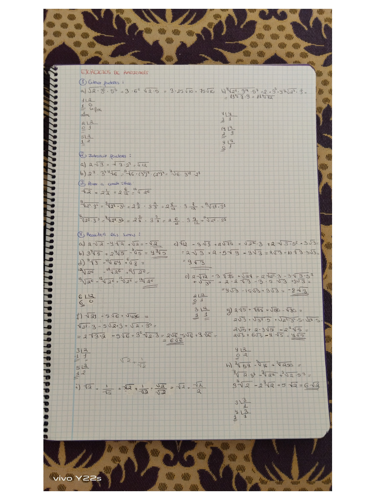 Ejercicios De Radicales Pdf