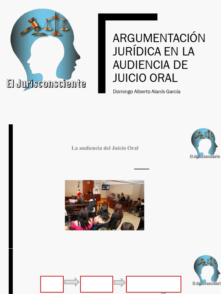 Argumentación Jurídica en Juicio Oral | PDF | Justicia | Crimen y violencia
