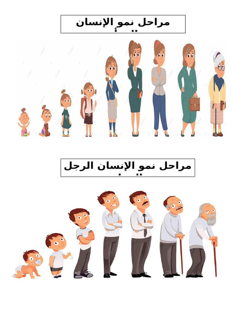 مراحل نمو الإنسان | PDF