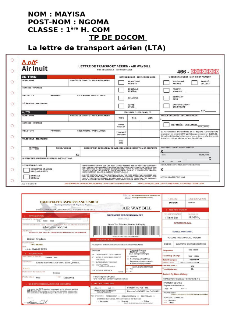 La Lettre de Transport Aérien (LTA) 1 2024 PACHA | PDF