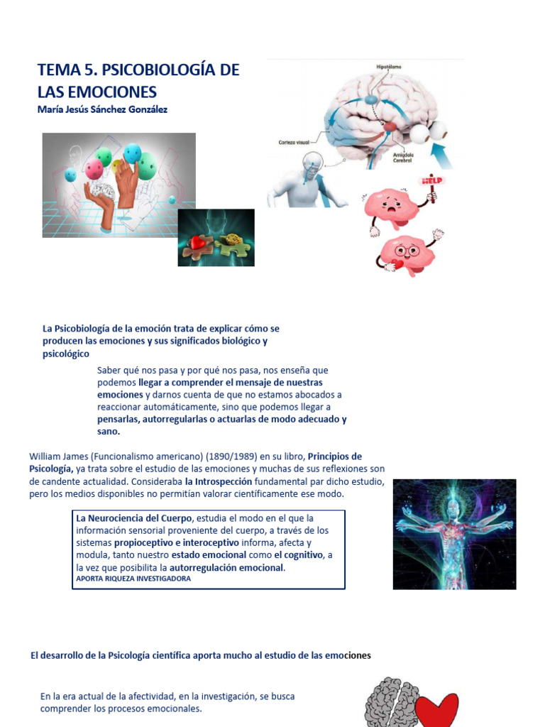 Fisiología de las Emociones Humanas | PDF | Las emociones | Cerebro