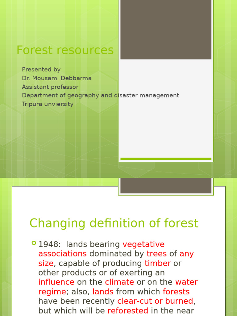 Forest Resources Pdf Forests Plantation