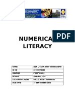 Numerical Literacy