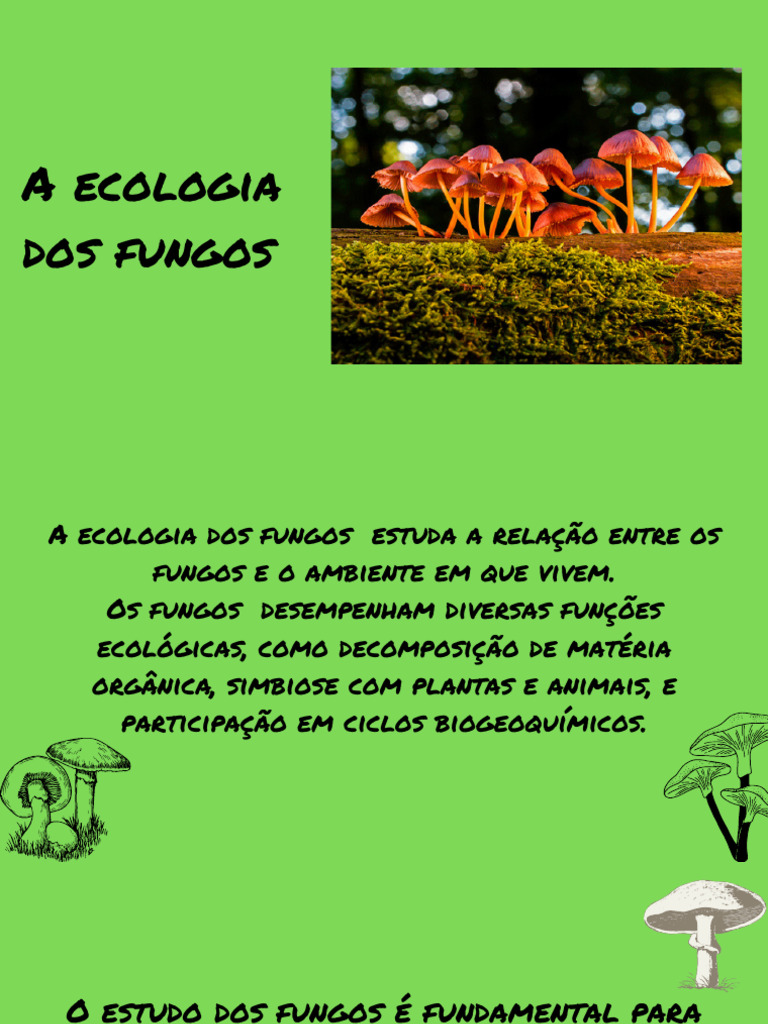 Importância Ecológica dos Fungos | PDF