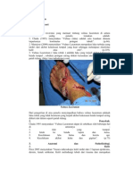 Download Vulnus apertum by Ismail Achmad SN81576324 doc pdf