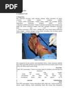 Download Vulnus apertum by Ismail Achmad SN81576324 doc pdf