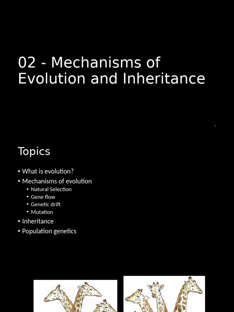 Mechanisms of Evolution and Inheritance | PDF | Dominance (Genetics ...