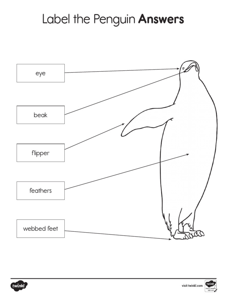 answer-label-the-penguin-activity-for-k-2nd-grade-pdf