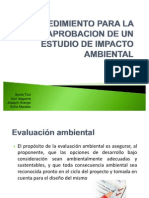 Presentacion Eia ion Ambiental