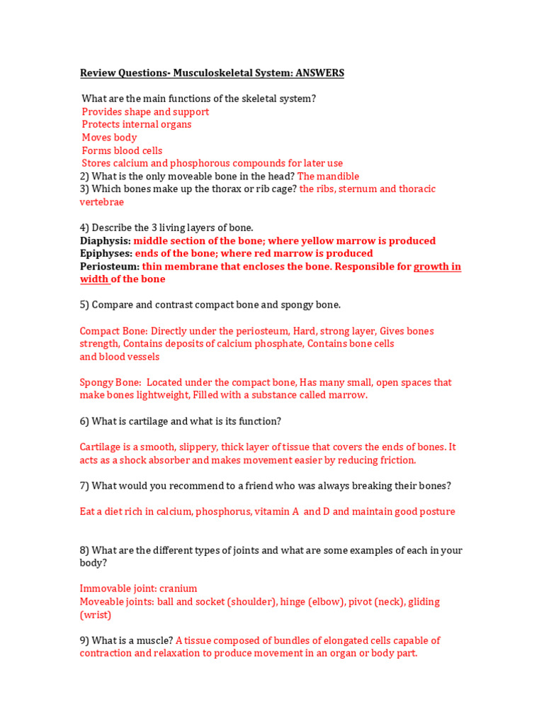 Musculoskeletal System Review Questions | PDF | Bone | Muscle