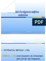 Proceso de Reexitación Necesario para La Ritmicidad Espontánea